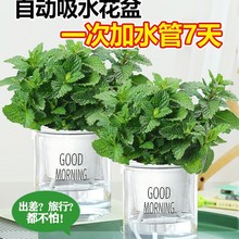 ��������ˮ�ౡ���~���r��ʳ���Ե������ֲ���҃ȾGֲ���ܙ��ʲ�