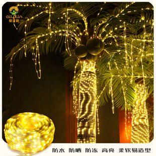 ���R�d�¿�24V�͉�Ƥ�����������ˮͥԺ�b�LEDƤ�����W����