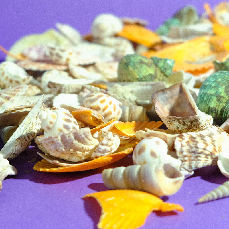 Bricolaje accesorios hechos a mano joyería de estilo antiguo fondo marino conjunto mixto concha natural campanilla de viento concha tridimensional flor al por mayor