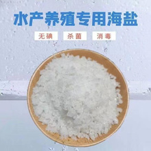 ���}ˮ�a�Bֳ���ô��}���w�����r�\���~���~���B�~���I�}