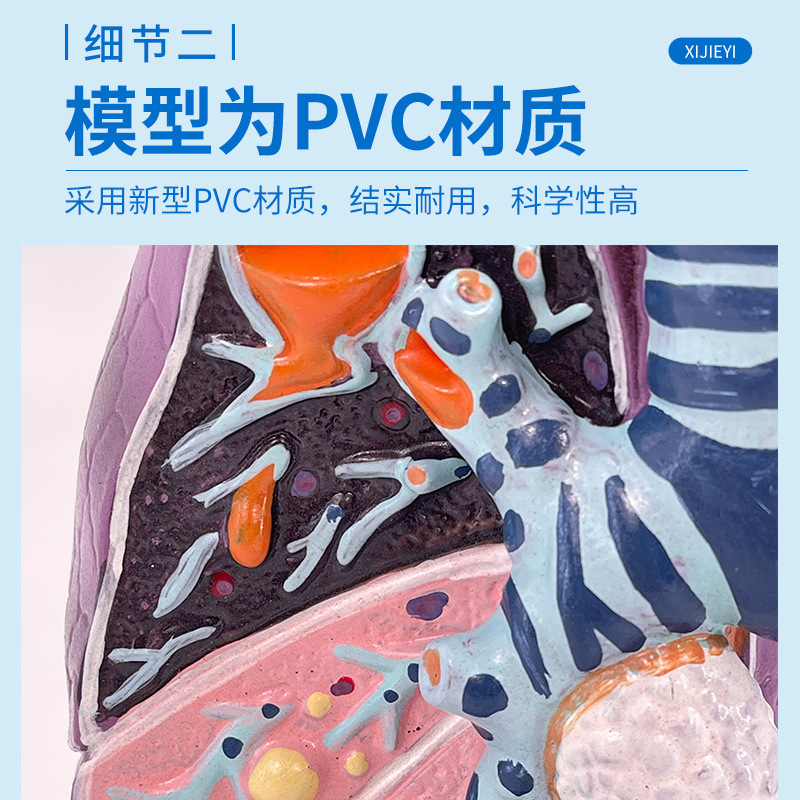 �������ܺͷ� �ν��ʲ�����ģ�� �����߷����� �ڿƺ���ϵͳģ��