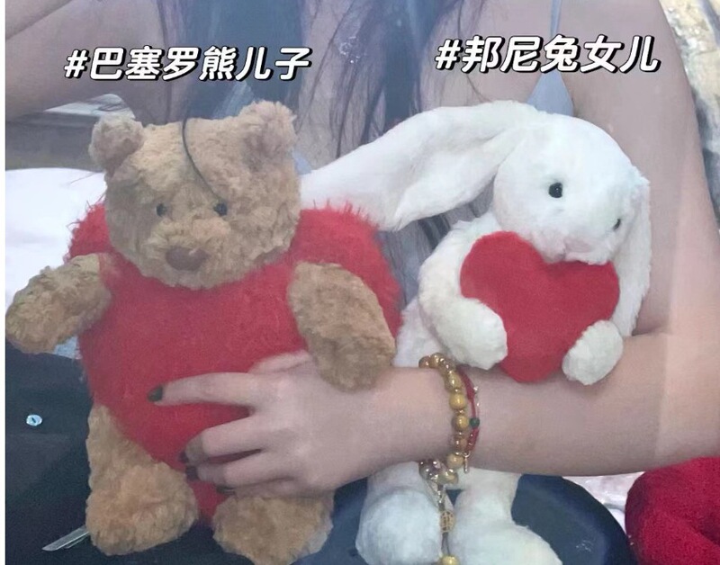 48h--JCのぬいぐるみ、人形、ギフト、母親と赤ちゃんの人形、かわいいバッグペンダントの大きなコレクション|undefined