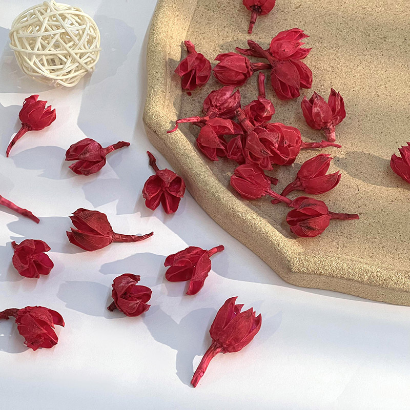 2022_02_24_14_15_IMG_1222