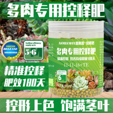 多肉植物专用控释颗粒肥料盆栽肉肉营养粒营养液肉嘟嘟底肥缓释肥