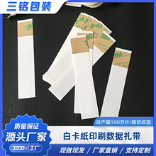 跨境专供PET自粘膜耳机线固定头扎带OPP薄膜数据线透明捆绑纸扎片