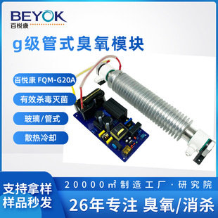 Baiyuekang Fqm-G20A Ozone Generator Supporting 10-20G/H Air-Cooled Commercial Tubular Ozone Module