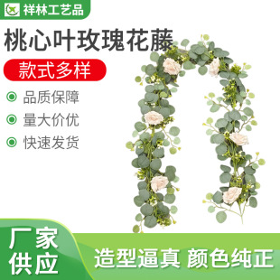 ����õ�廨�ٽ����l���l ����ֲ�ﻨ�ٗl�ٻ�������c�b�õ�廨