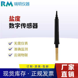 数字式盐度计  盐度传感器 485输出 工业废水 化工 盐度分析仪