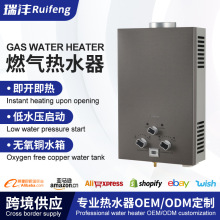 立式热水器家用壁挂式燃气热水器批发6-20升烟道式热水器跨境专供