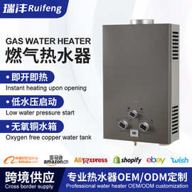 立式热水器家用壁挂式燃气热水器批发6-20升烟道式热水器跨境专供