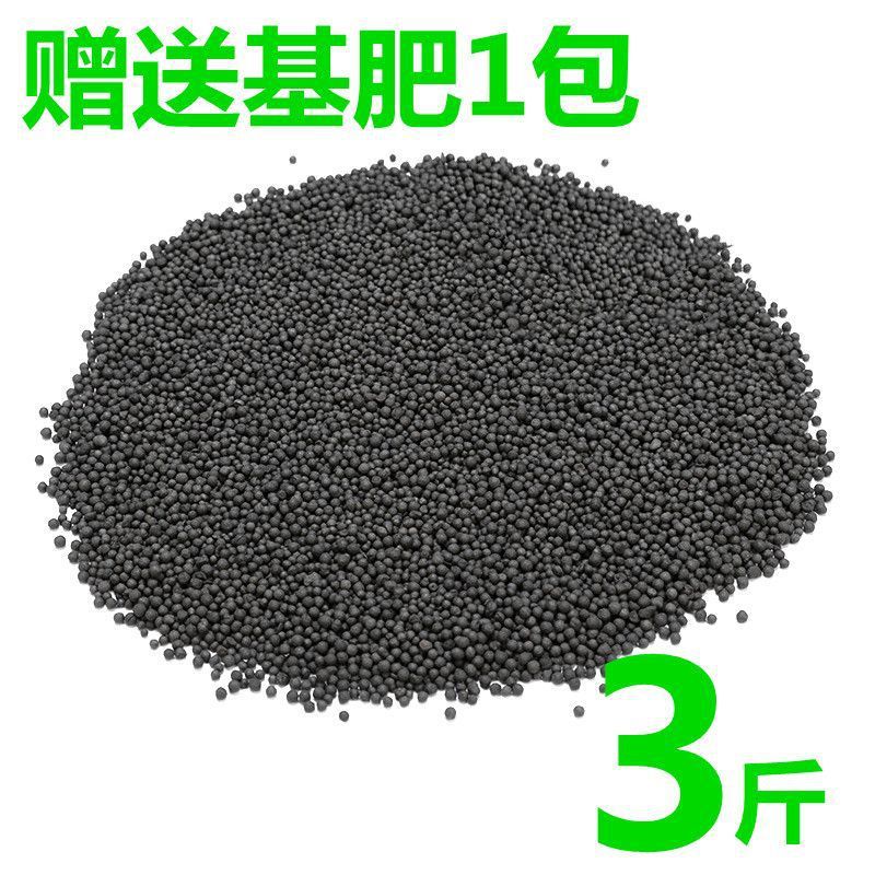 수생식물머드【1.5kg】강화정수버전 - 수생식물머드[종자없음] + 기초비료 단독구매