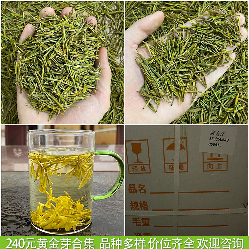 浙江2025年新茶明前茶春茶緑茶安吉工芸濃香型黄金芽茶葉卸売りバラ|undefined