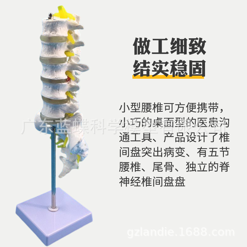 ���弹��ģ�ͼ�׵����׵ģ�� ��׵�ṹ��׵���� �ؽ�ģ�߲�����׵