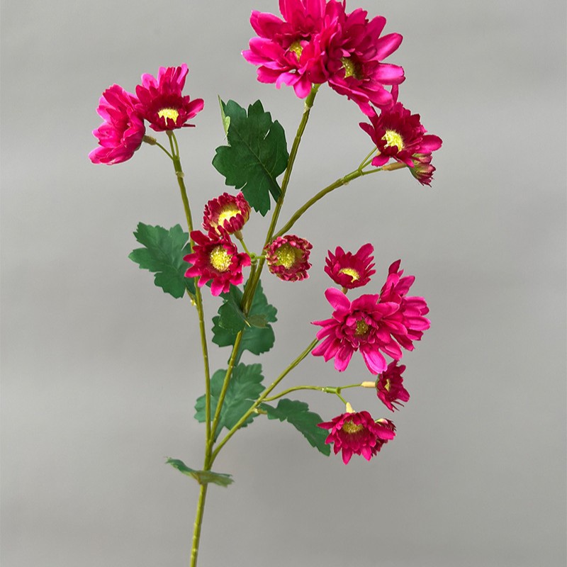 Multi-cabeza Daisy Rose Red