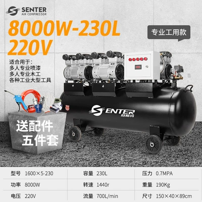 Hava kompressorları: Air Pump 220V Professional - 16005-230l
