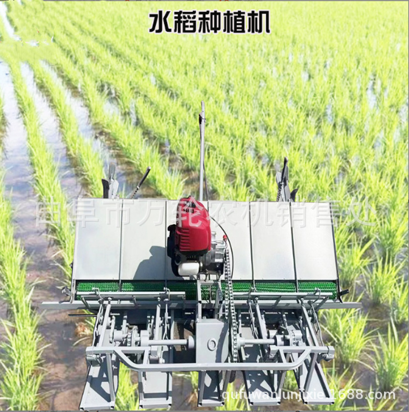轻便型手拉式四行六行水稻插秧机 不伤秧苗插秧均匀水稻插苗机