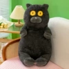 Black cat