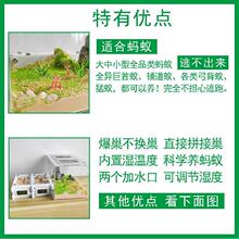 ρρ�C����Λρ�Ǳ��������ﳲѨ�^��Λρ�Cρ�����̈́e��ƴ�ӳ�