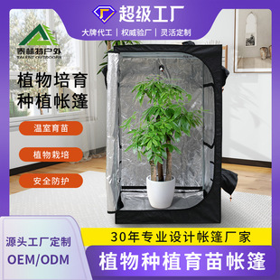 �羳ţ�򲼜��ҷNֲ�����҃�ֲ�����B���Ƅ�ʽ����ˮ���Nֲ������