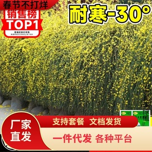 һ�����lӭ���������辰�B�N�Ϙ������҃��̨ͥԺ���ٴ������܈�