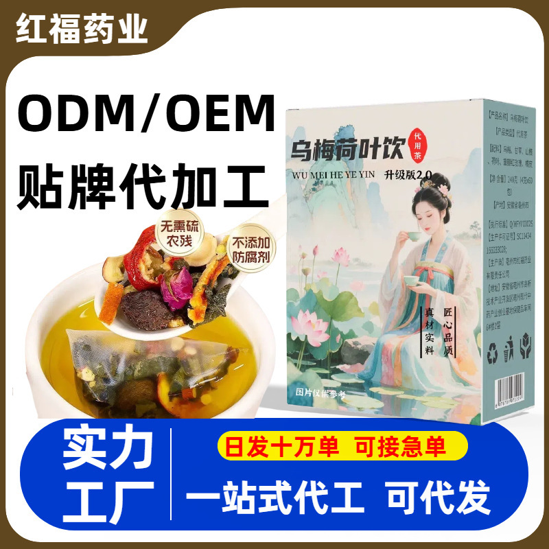 ソースメーカー 紅梅スープ 2.0 紅梅蓮の葉ドリンク ティーバッグ 代替茶 健康茶 本店 正規品|undefined
