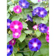 ��ţ���N�����Ȼ����������������������ļ����N�_�������̨����