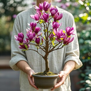 �������m�����玧���������m�����ϱ����NֲͥԺ�ļ������ͺ�ֲ��