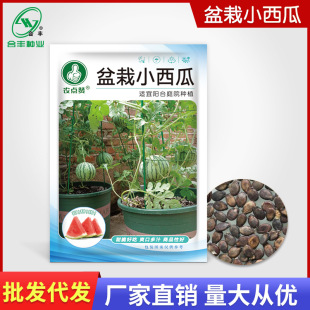 ����С���ϷN��Ƥ������ˮ�����ϷN��������r��ˈ@�̨���Ĳ��N