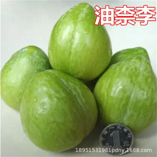 �����Lζõ���������Lζ����õ��������t�����������֦�l����