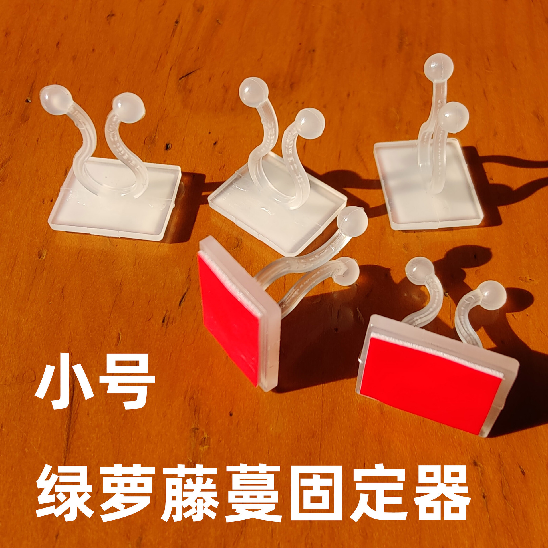 绿萝爬墙神器绿箩固定爬上固定夹攀爬挂钩绿罗扣环无痕绿植固定器