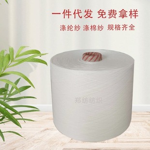 T80/C20 21S  ���޻켏���� �ԽjͲᘿ�21֧���޼� �޼� ���޼���