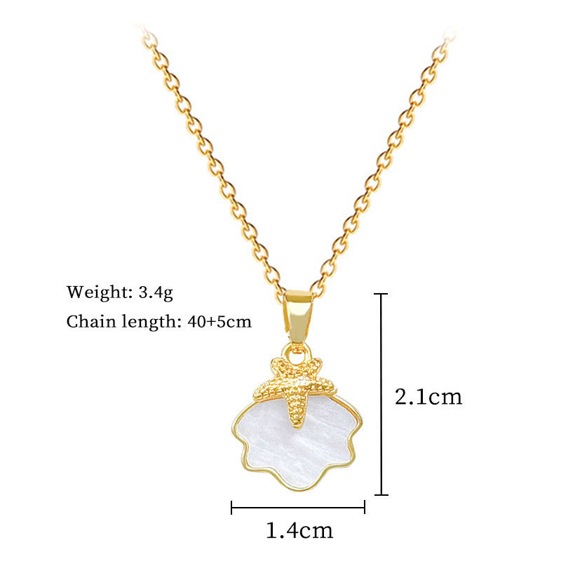 Colar de concha estrela do mar em aço titânio para mulher_voghion.com