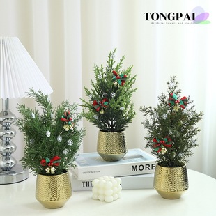 �մ�������滨ֲ���}�Q������ԼҾ������ֲ���辰�[���羳