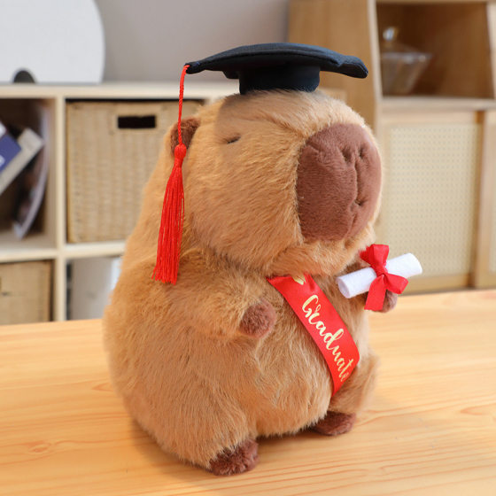 New Dr. Capibala Graduation Hat Doll Doctor Master Master Plush Doll Doll