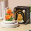 Ciju-light version [comes with dust cover + base] in color box