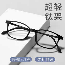 丹阳眼镜9831XP复古大脸橡皮钛超轻眼镜架男TR全框钛架近视眼镜框