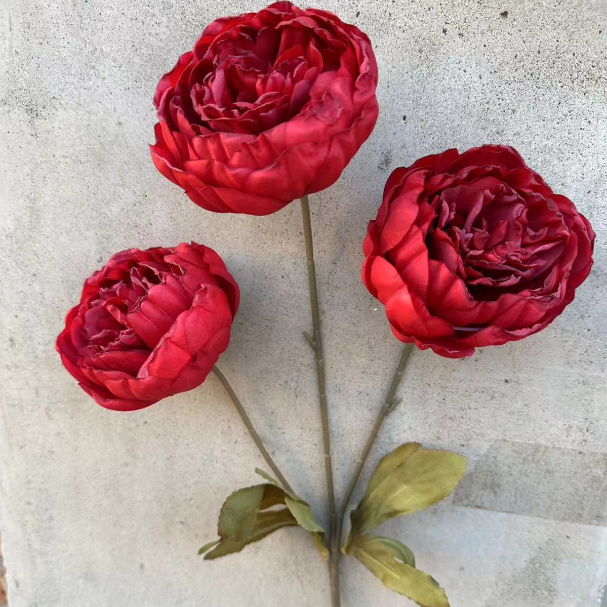 Peony