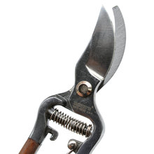 �����{֦��8��tľ����֦�������֦�����P�ʡ�������޻���W866