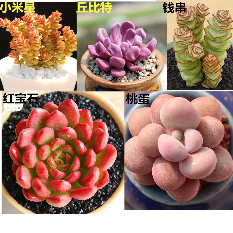 [5종 패키지 B] 세면대가 필요하신 경우 세면대를 포함하여 주문하세요.