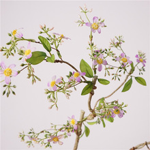 ����ֲ��͏dҰ����֦�쾰�҃ȾGֲ���^�º��Ļ�ľ�٘�������ԽM