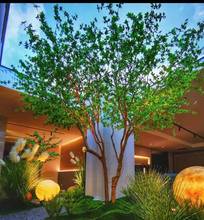 仿真日本吊钟树大型仿真树绿植装饰室内造景假树网红款植物树