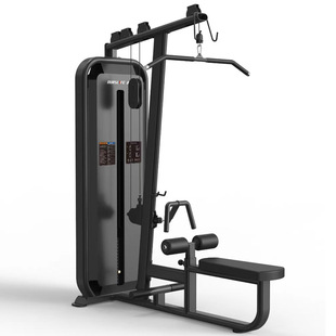 Aowo New Life OURSLIFE High and Low Back Trainer Commercial Gym Strength Trainer G1305
