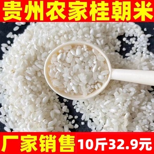 �F�ݹ��״��כ�Ƥ�׹�����Ƥ�׶��������׸��׾����Û������l