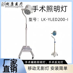 Hospital LED operating room letter lamp medical surgery shadowless lamp medical beauty pet oral special lighting