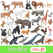 �������ģ�� �羳��ͯ���Ұ�����ﺣ������[�����