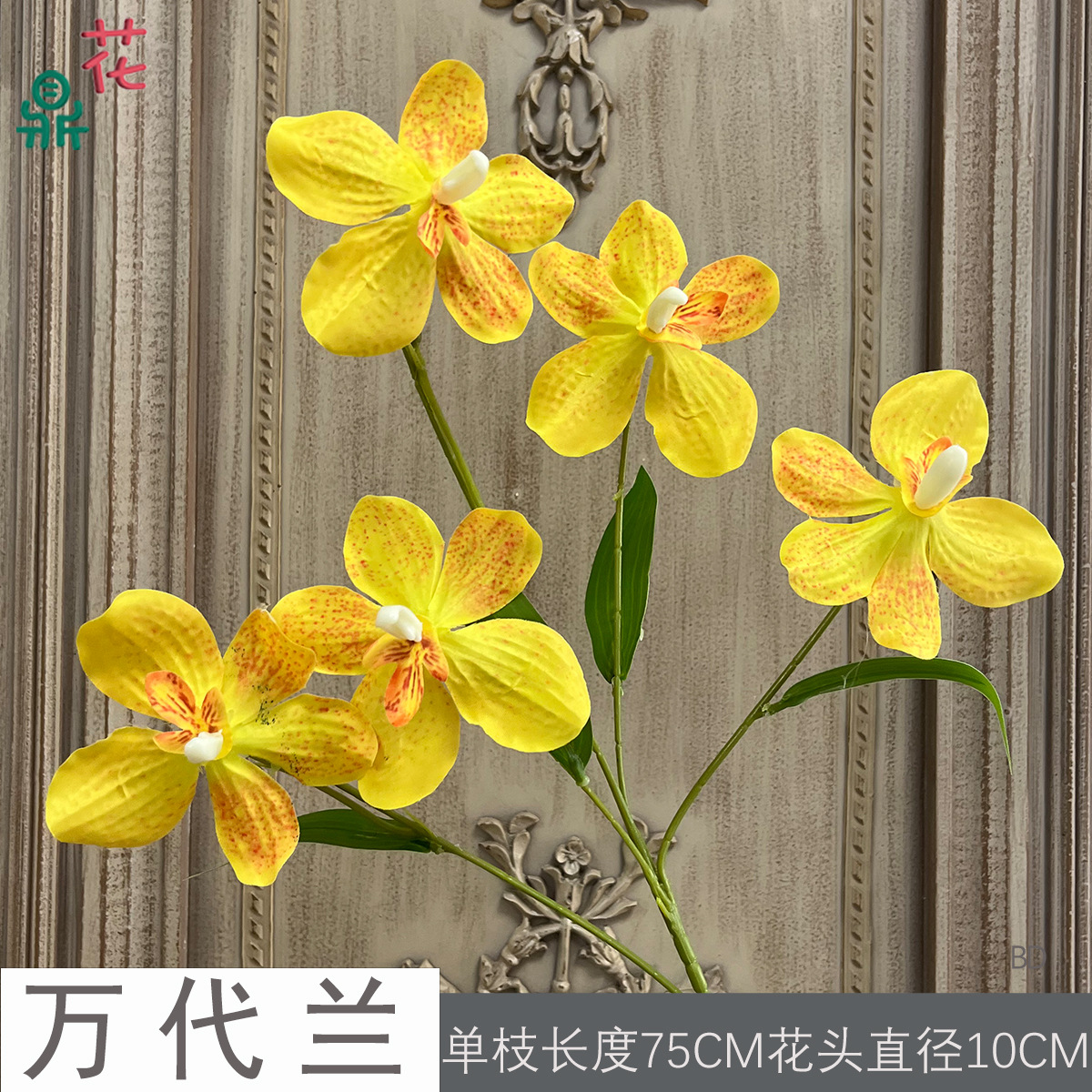Hoa lan BD màu vàng