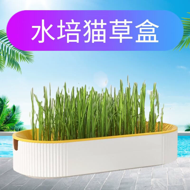 Новый Гидропоник Кошка Трава Коробка Кошка Закуски Кошачья мята Гидропоника Беспочвенная Растущая Кошка Трава Горшок костюм Кошка Трава Коробка Оптом