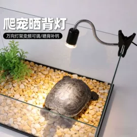 水族照明设备;宠物周边用品