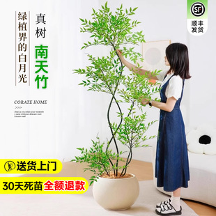 ����������������Կ͏d���;Gֲ���k���҃Ȼ����Ϙ����B�ļ�����