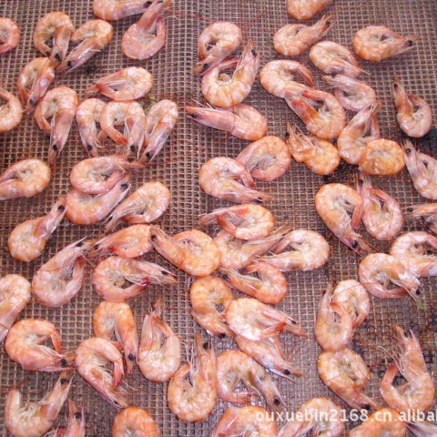 滨州对虾微波烘烤设备